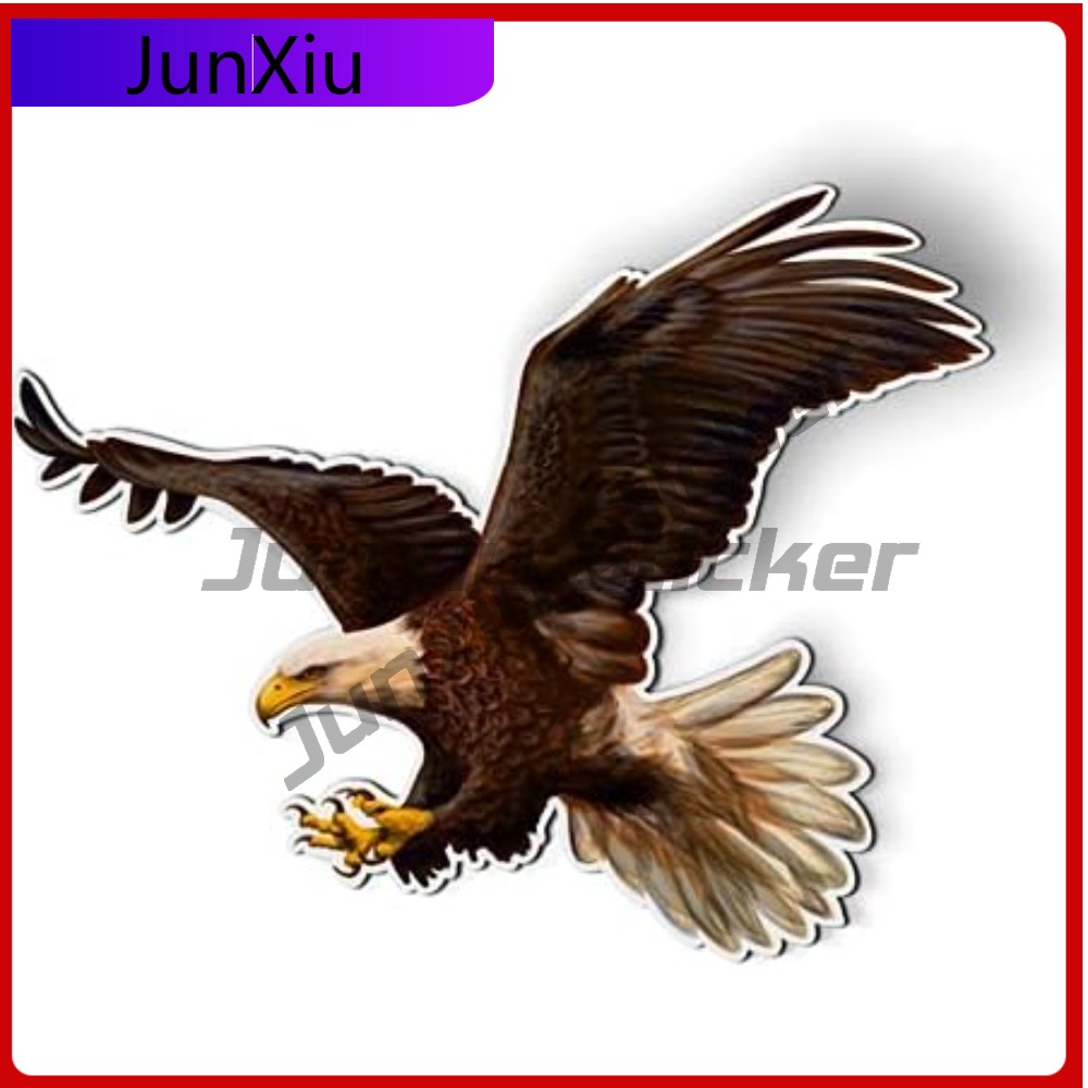 Bald Eagle American Eye Catchi - Laptop Accessories You Must Have บทวิจารณ์และราคา